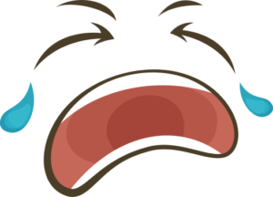 cry franchising