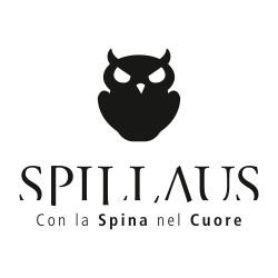 Spillaus per chi la birra la ama davvero